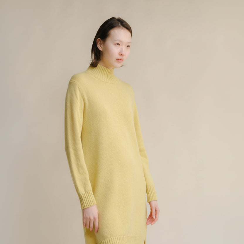 Cashmere Mix High Neck Midi Dress-19