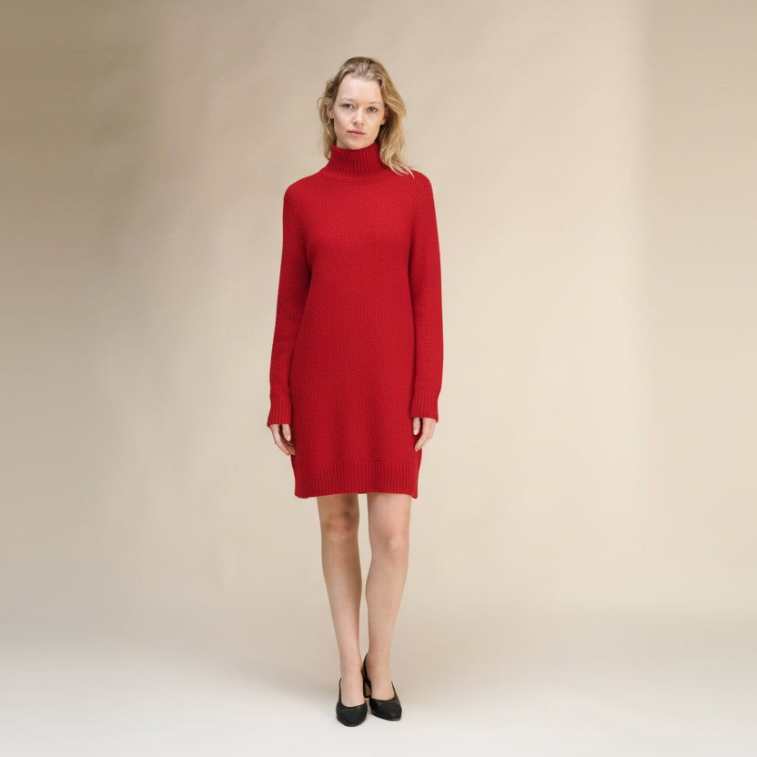 Cashmere Mix High Neck Midi Dress-4
